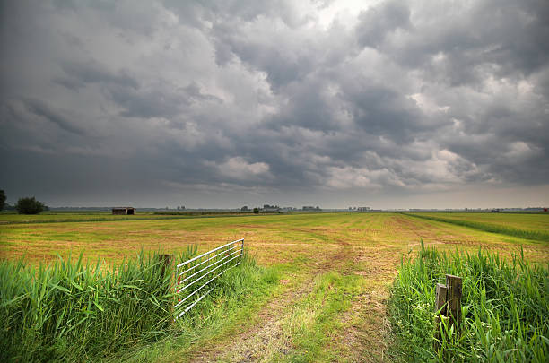istock stormy cloud on sky over farmland 540391232