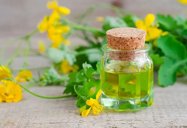 Small bottle of celandine infusion (herbal tincture, oil)