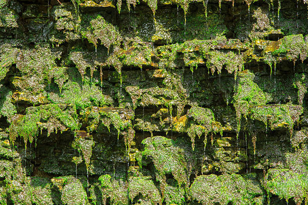 pequena cachoeira artificial. - fountain indoors landscaped home interior - fotografias e filmes do acervo