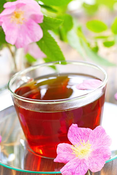 istock Cup of tea and dogrose 540393428