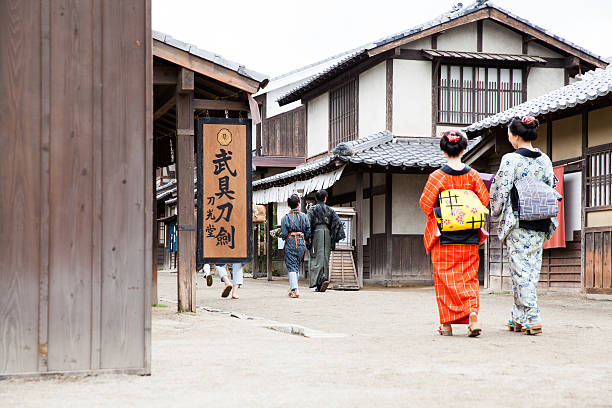 istock The  back of Japanese beauty in Edo perioud. 540393976