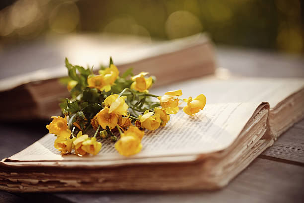 istock Old open books and yellow buttercups 540394160