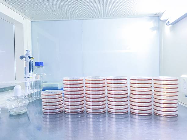 istock Petri Dishes in laboratory ,science test background 540399206