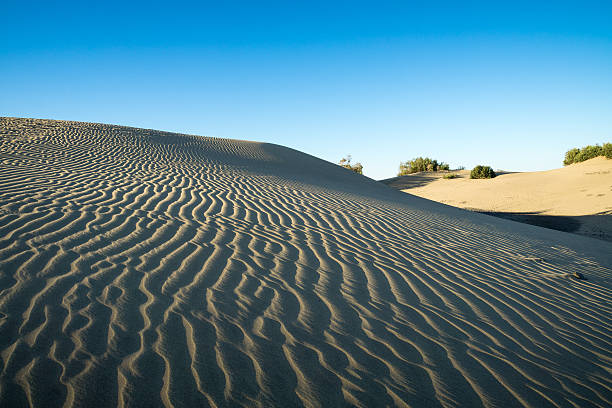 istock Early Morning at Maspalomas Dunes 540401168