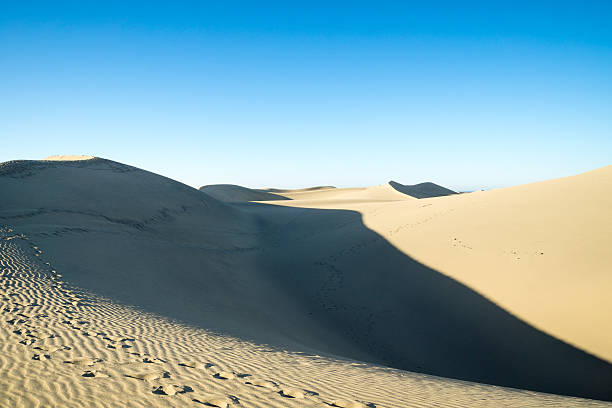 istock Maspalomas Dunes with View to the Sea 540401920