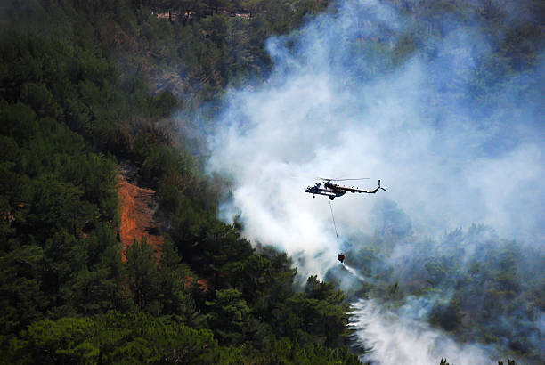 헬리콥터 진화 산불 - fire bucket 뉴스 사진 이미지