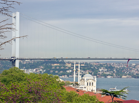 Bosphorus view