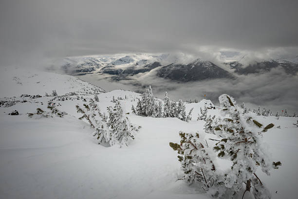 istock Whistler pow day 540408800