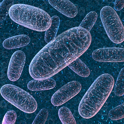 Mitochondrium. Representación en 3D. photo