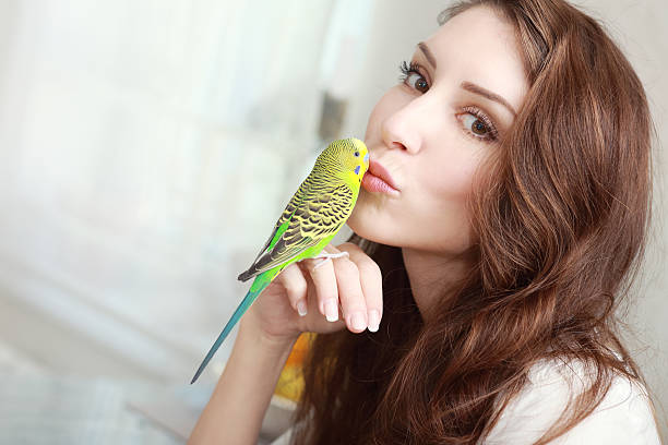 woman hold parrot stock photo