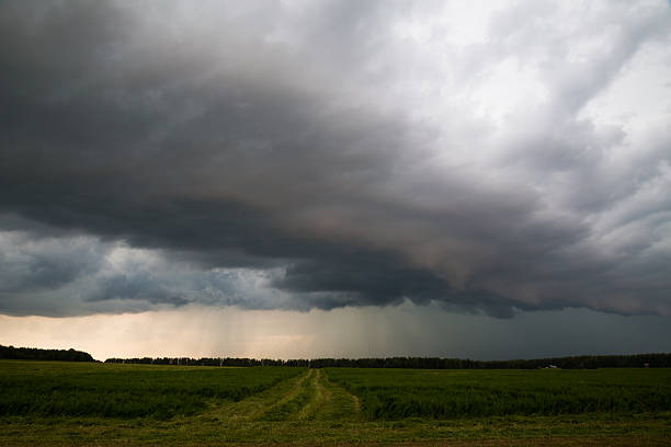 istock Storm front. The storm over the field 540487160