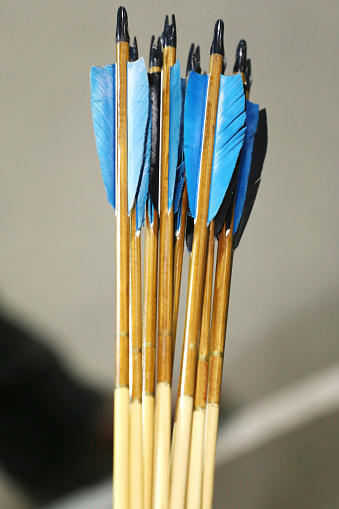 Wooden archery arrows with plastic nocks and feathers