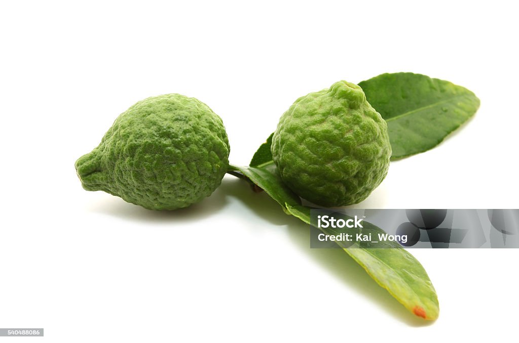 Kaffir lime Kaffir lime isolated on white background Asia Stock Photo