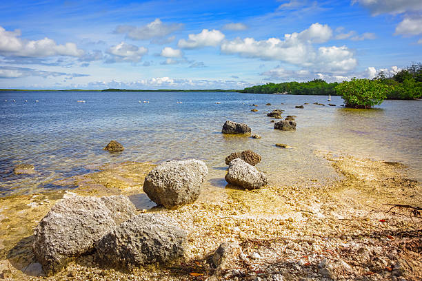 istock John Pennekamp Coral Reef State Park Key Largo Florida Keys 540489340