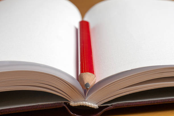 istock Close-up of open book and pen. 540491500