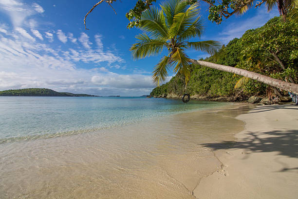 istock Paradisiac tire swing on beach 540493376