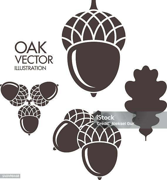 Oak Acorn Leaf Stock Illustration - Download Image Now - Acorn, Vector, Leaf