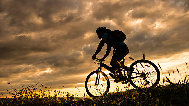 istock Rear view of biker moving up on the mountain 540496596
