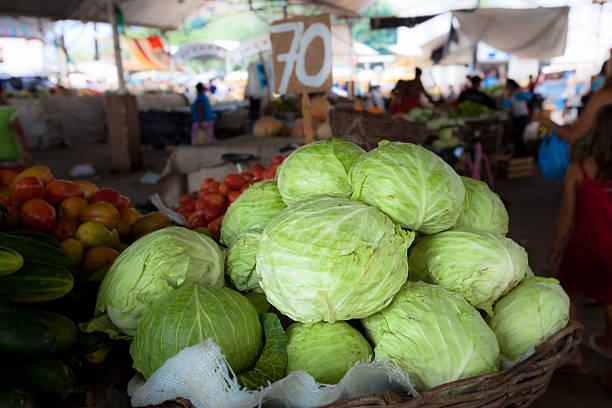 Tuft of cabbage