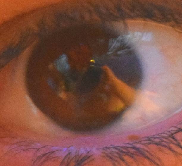 istock extreme close up human eye brown macro backgroung 540496902