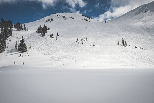 istock Flute mountain, Whistler 540496914