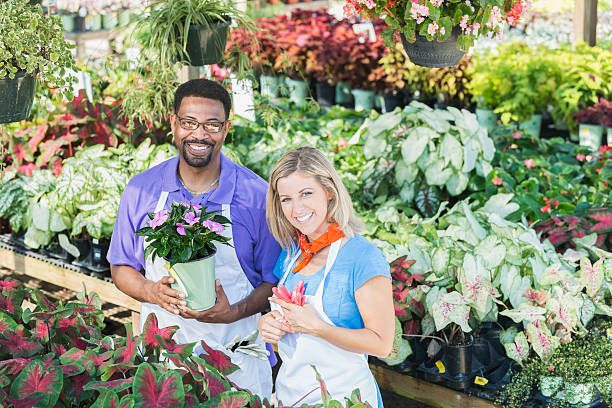 istock Two multiracial workers in plant nursery 540497034