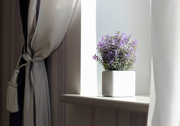 istock Decorative flower stands on window sill 540497076
