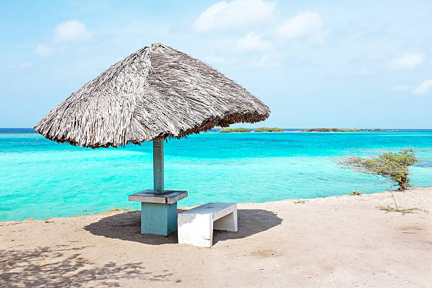 istock Grass umbrella at the beach on Aruba island 540503512