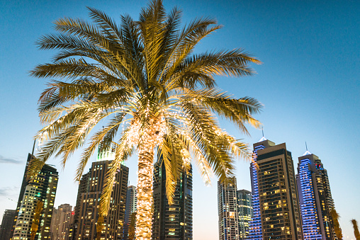 Dubai marina skyline with illuminated palm
