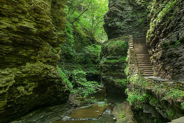 Watkins Glen State Park in upstate New York Watkins Glen State Park is located outside the village of Watkins Glen, south of Seneca Lake in Schuyler County in New York's Finger Lakes region. The park's lower part is near the village, while the upper part is open woodland. watkins glen stock pictures, royalty-free photos & images