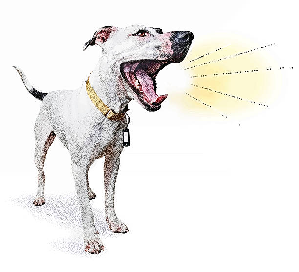 Funny dog shouting announcement Funny dog shouting announcement. Isolated on white. barking animal sound stock illustrations