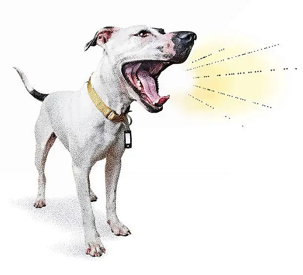 Vector illustration of Funny dog shouting announcement