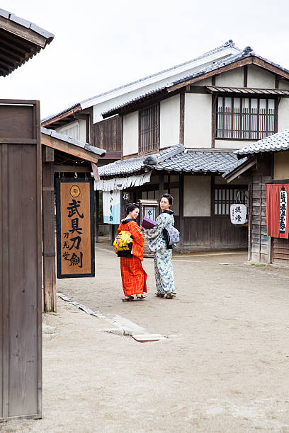 istock The  back of Japanese beauty in Edo perioud. 540508992