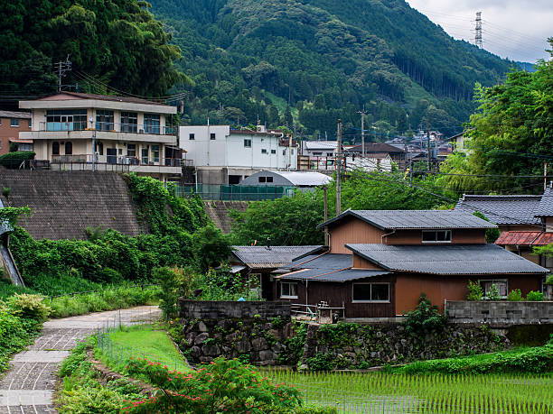 istock Countryside landscape at Saga 540511952