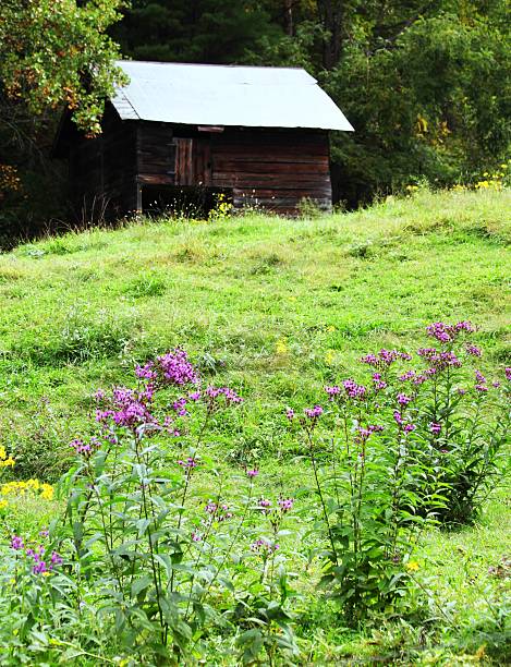 istock Bryson City Cabin 540514786