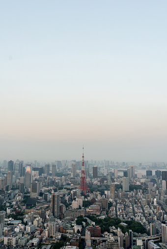 Shot of the Tokyo tower in Japan - architecture concepts