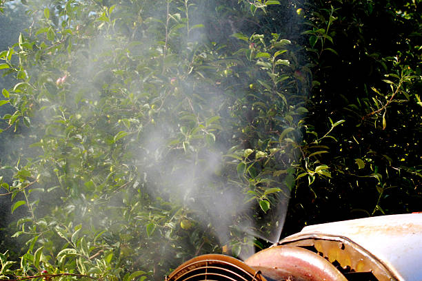 istock air blast sprayer with a chemical insecticide 540518748