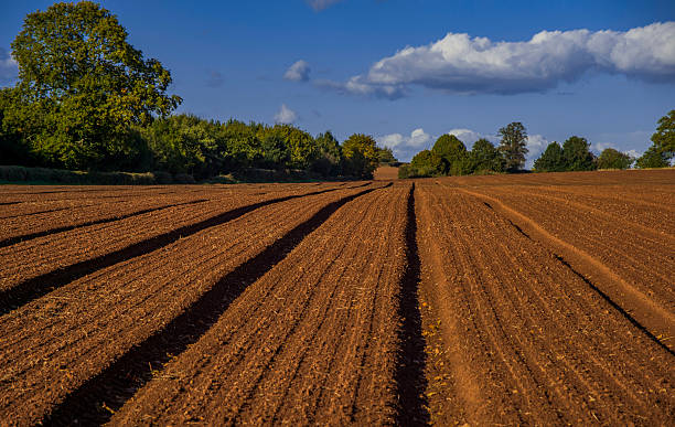 istock field agriculrural landscape UK 540523674