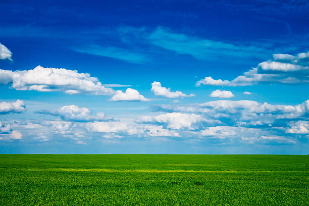 istock green field and blue sky with light clouds landscape 540524446