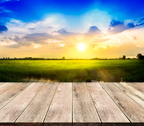 istock Wooden floor on Rice field 540524816
