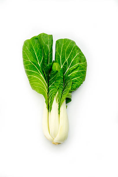 bok choy, chinesischer kohl - chinesischer senfkohl stock-fotos und bilder