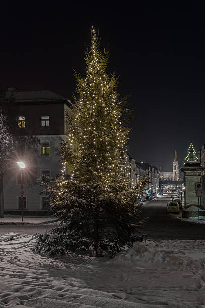 istock Winter night in Regensburg 540525282