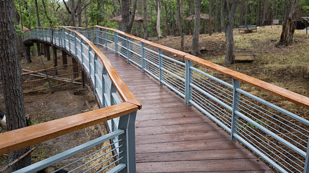 istock elevated pedestrian walkway in park 540528776