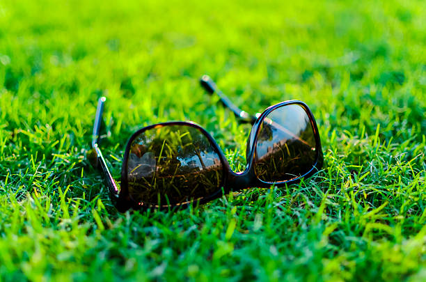 istock Sunglasses on the grass, Qatar, Doha 540529022