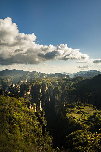 Mountains of Zhangjiajie National Forest Park, China