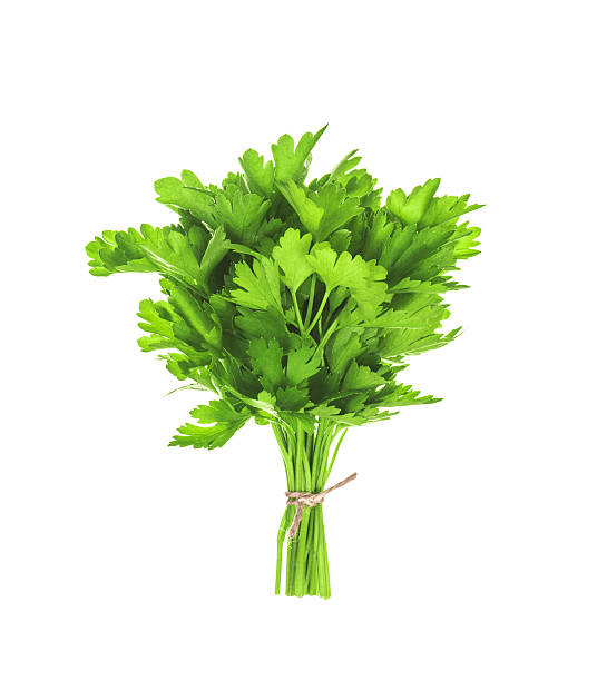 istock bunch of parsley 540530544