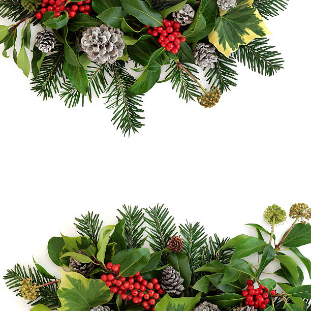 istock Traditional Winter Floral Border 540533850