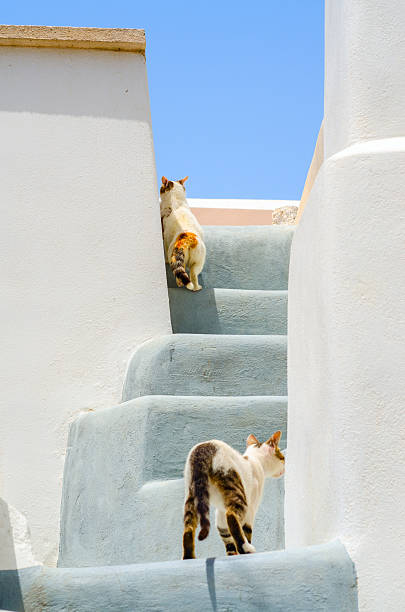 istock Dreaming of Santorini 540533918