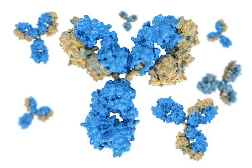 antibodies to cell movement of the virus