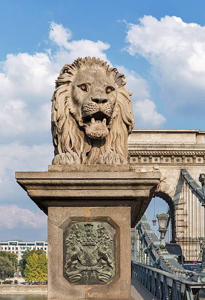 istock Lion of Chain Bridge in Budapest, Hungary 540566806